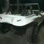 beach buggy projekt 2013/14
