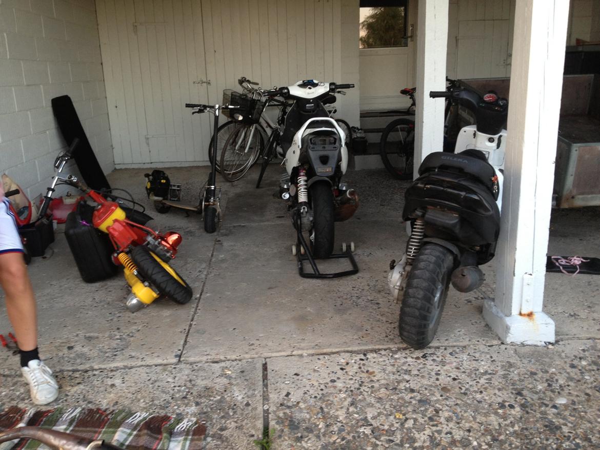 Honda melody med sonic motor billede 3