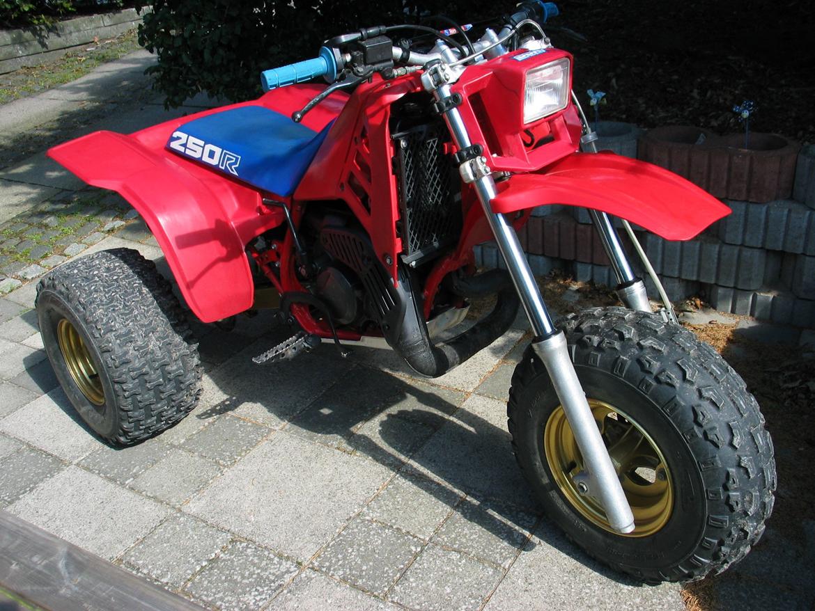 Honda atc 250R billede 17