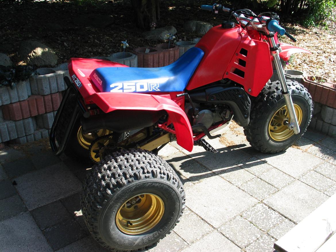 Honda atc 250R billede 13