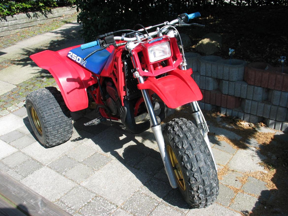 Honda atc 250R billede 15