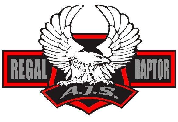 Min Regal Raptor 50cc knallert - Mærket  billede 1