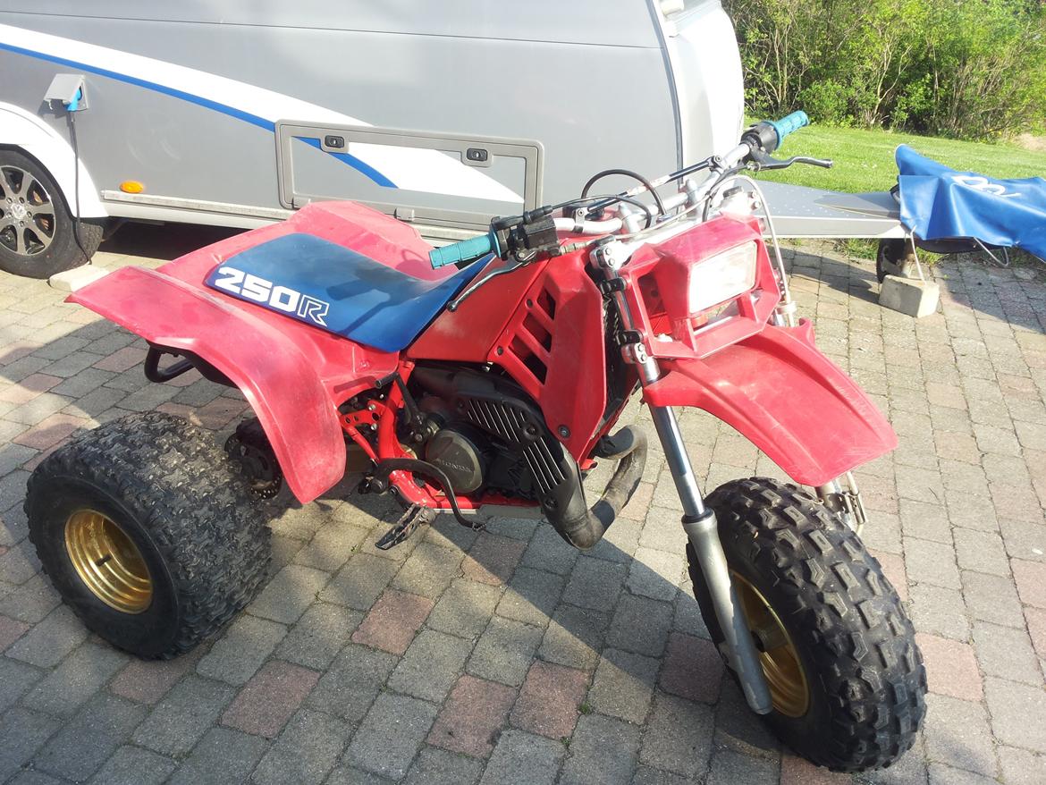 Honda atc 250R billede 8