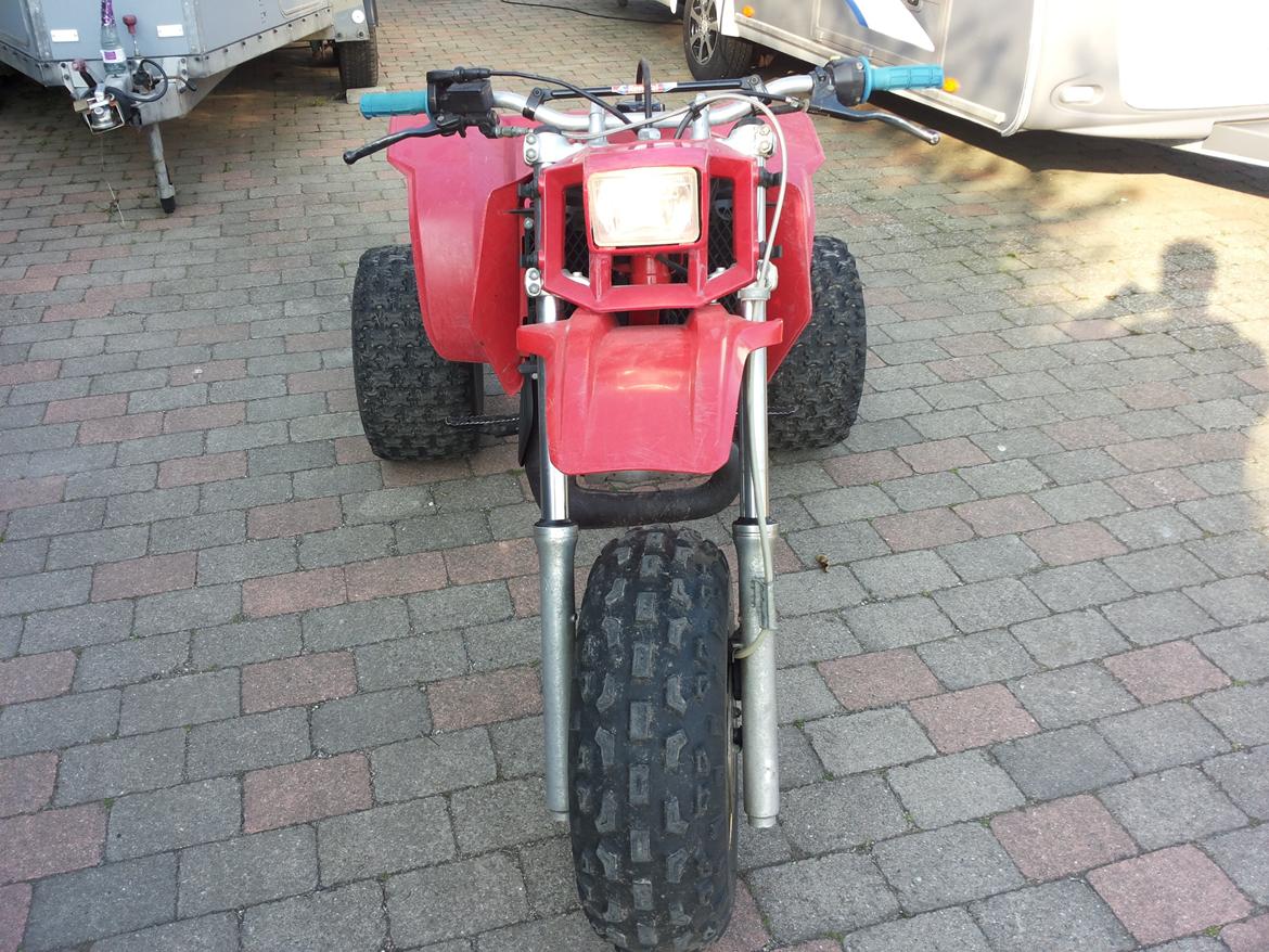 Honda atc 250R billede 9