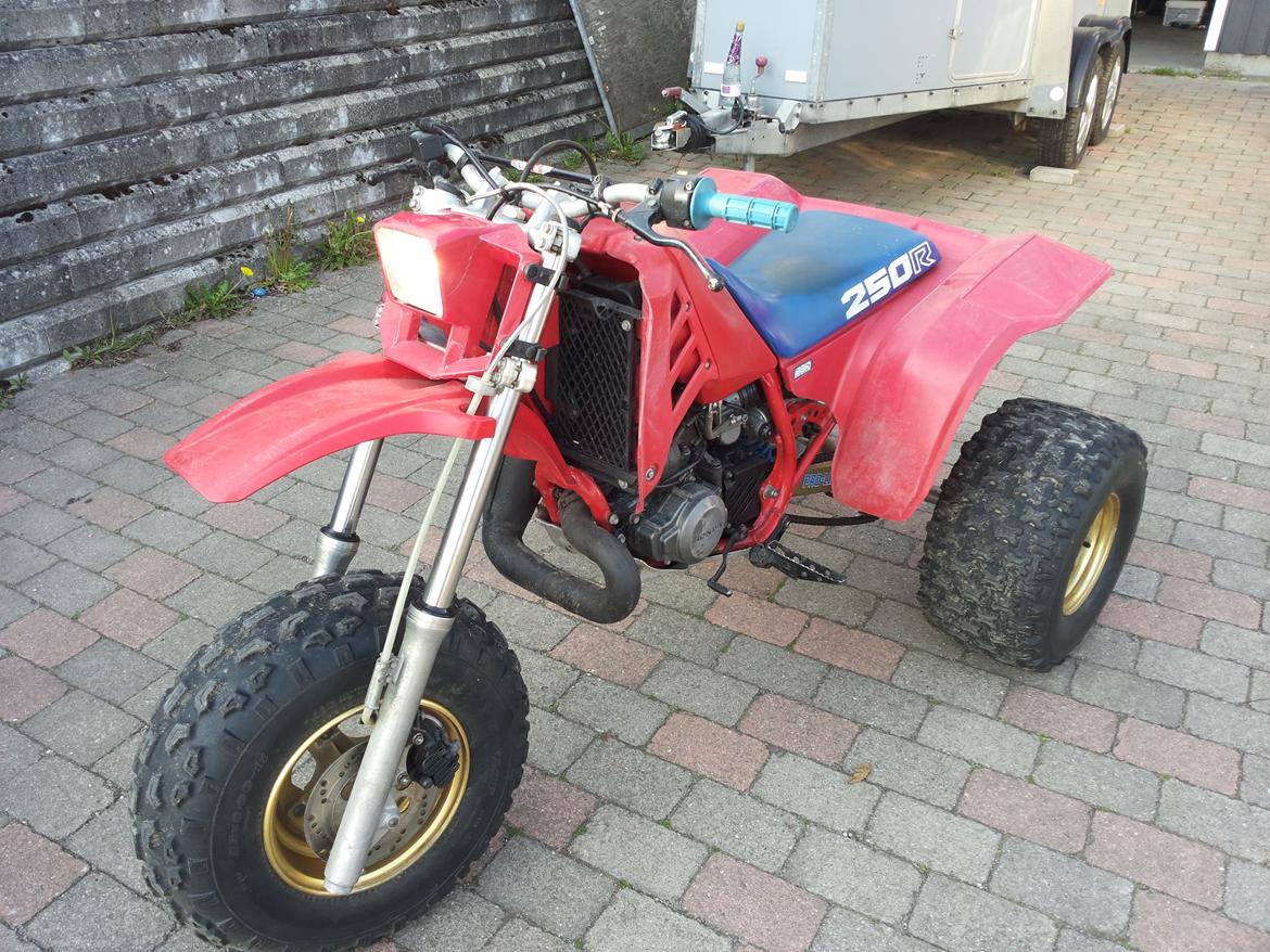 Honda atc 250R billede 10
