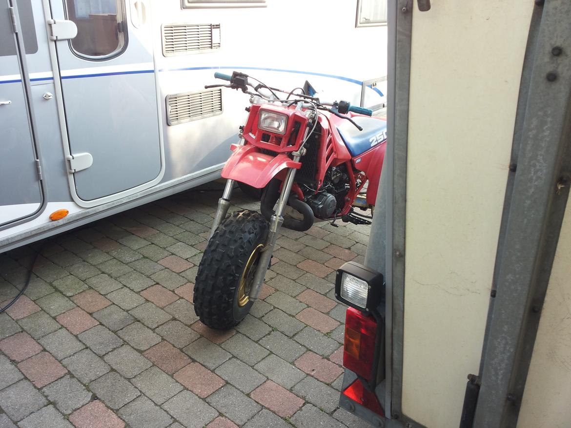 Honda atc 250R billede 12