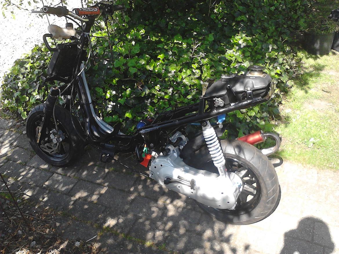 Pgo Hot 77 BB - Første gang den ude :D billede 29