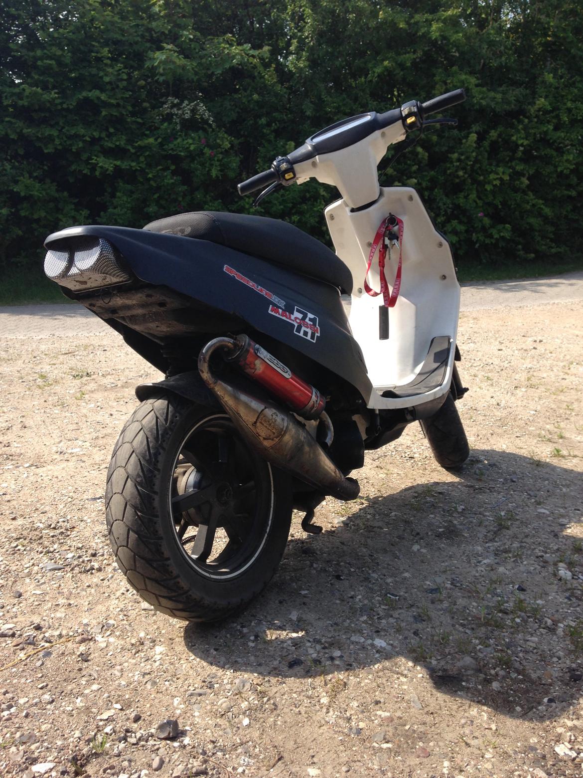 PGO hot50 Tornado frontskjold billede 5