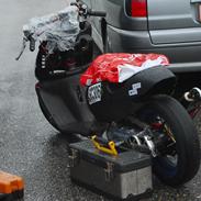 hjørring træf 1 scootergruppen