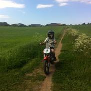 110cc dirtbike. Før og efter!