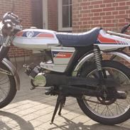 Puch monza 2gear