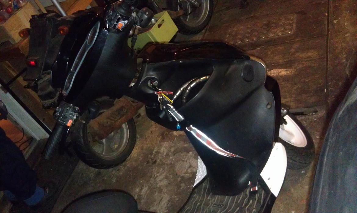 PinGO   - Dr Big. billede 12