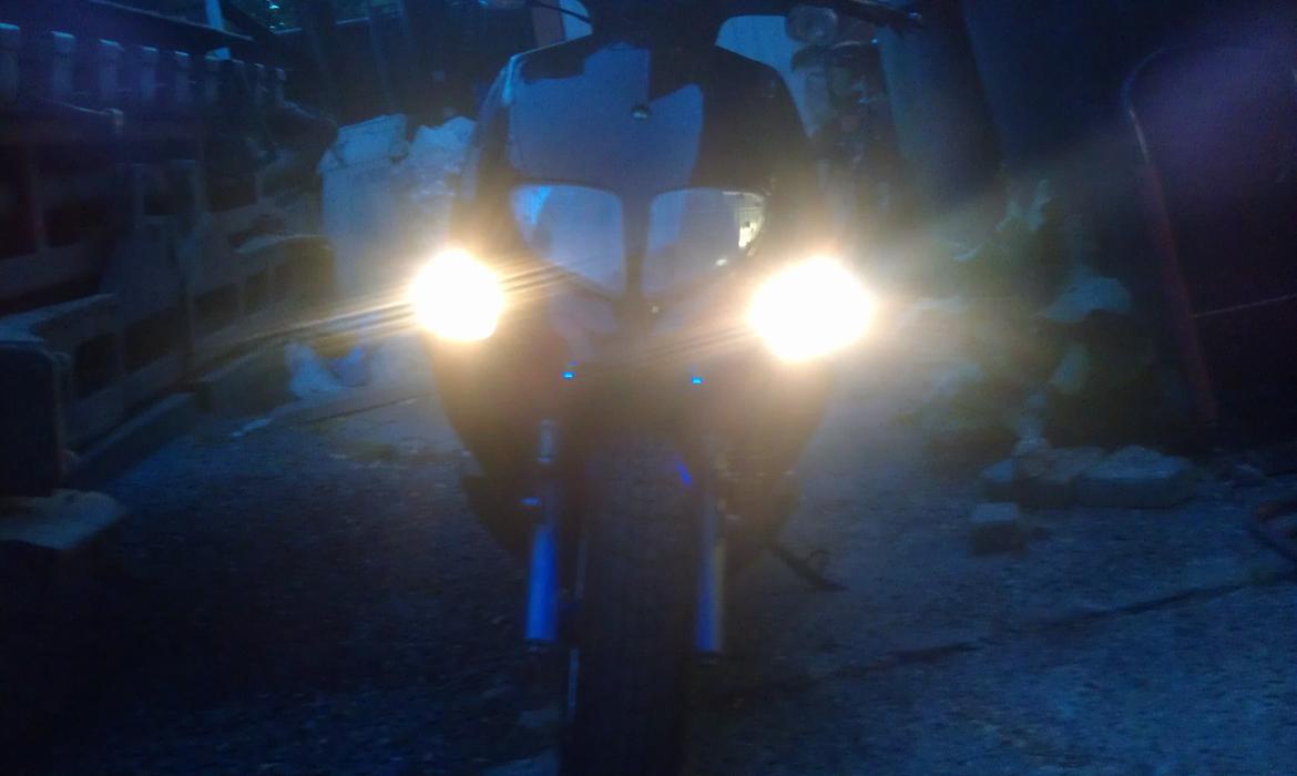 PinGO   - Dr Big. billede 21