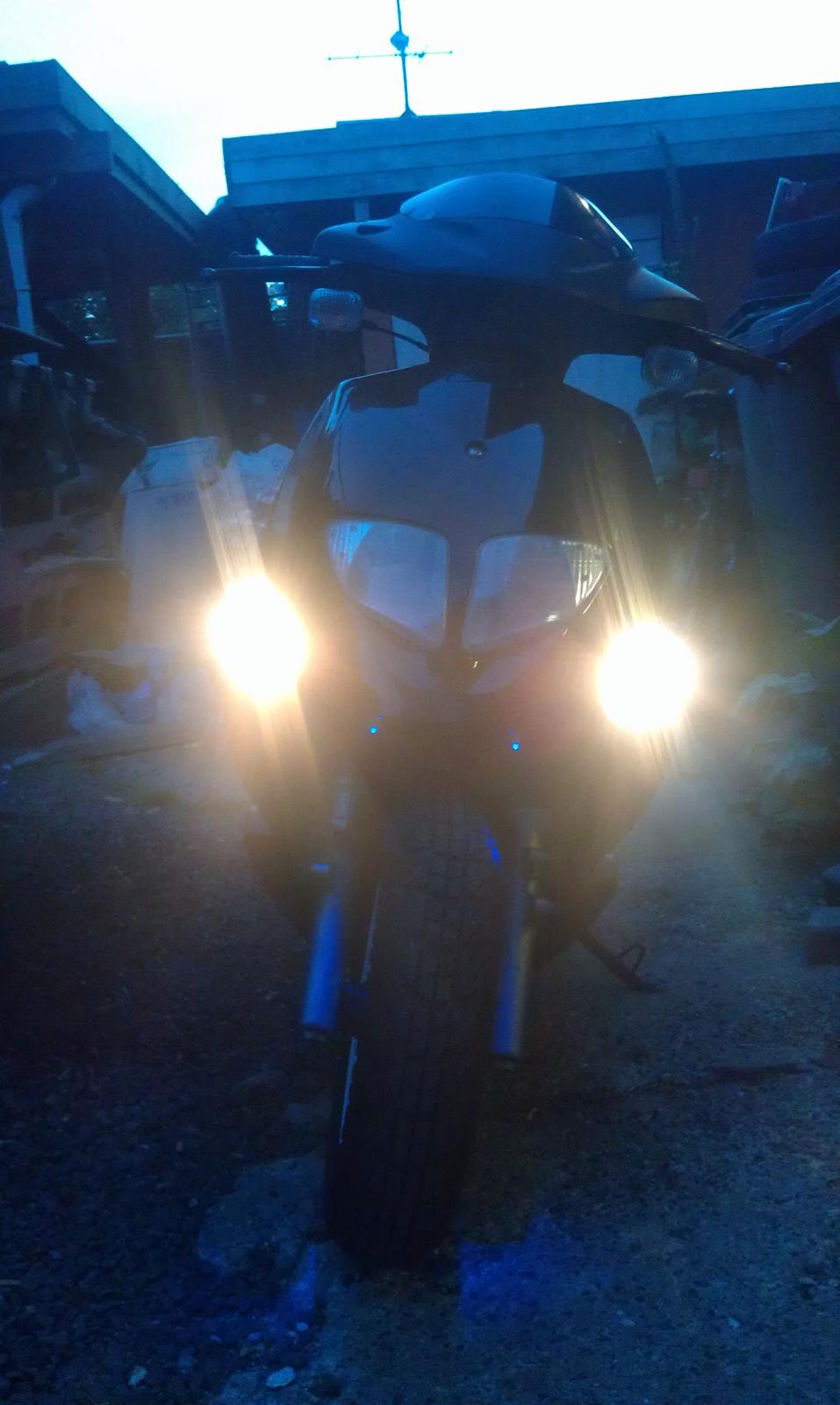 PinGO   - Dr Big. billede 22