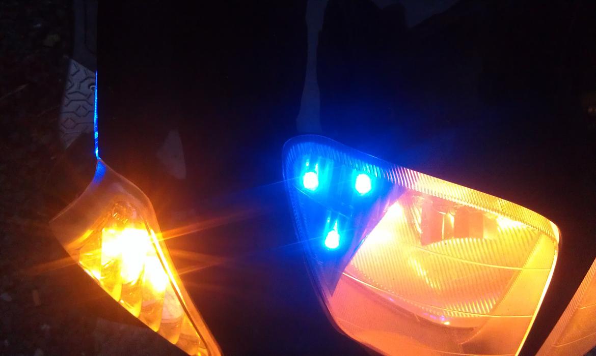 PinGO   - Dr Big. billede 24