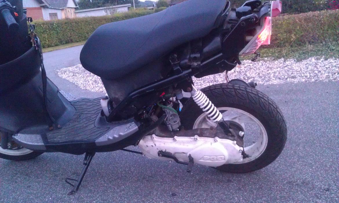 PinGO   - Dr Big. - Uden skjolde og stadig alt for sej! billede 30