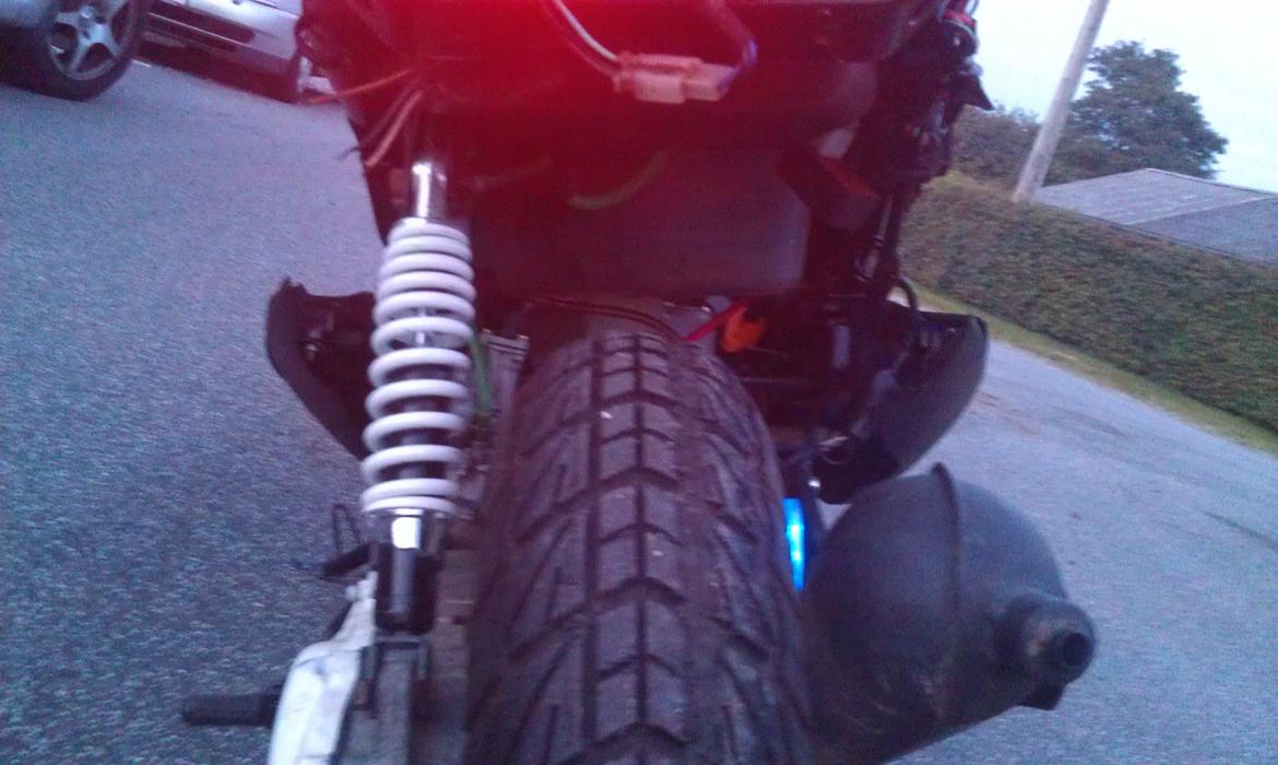 PinGO   - Dr Big. billede 34