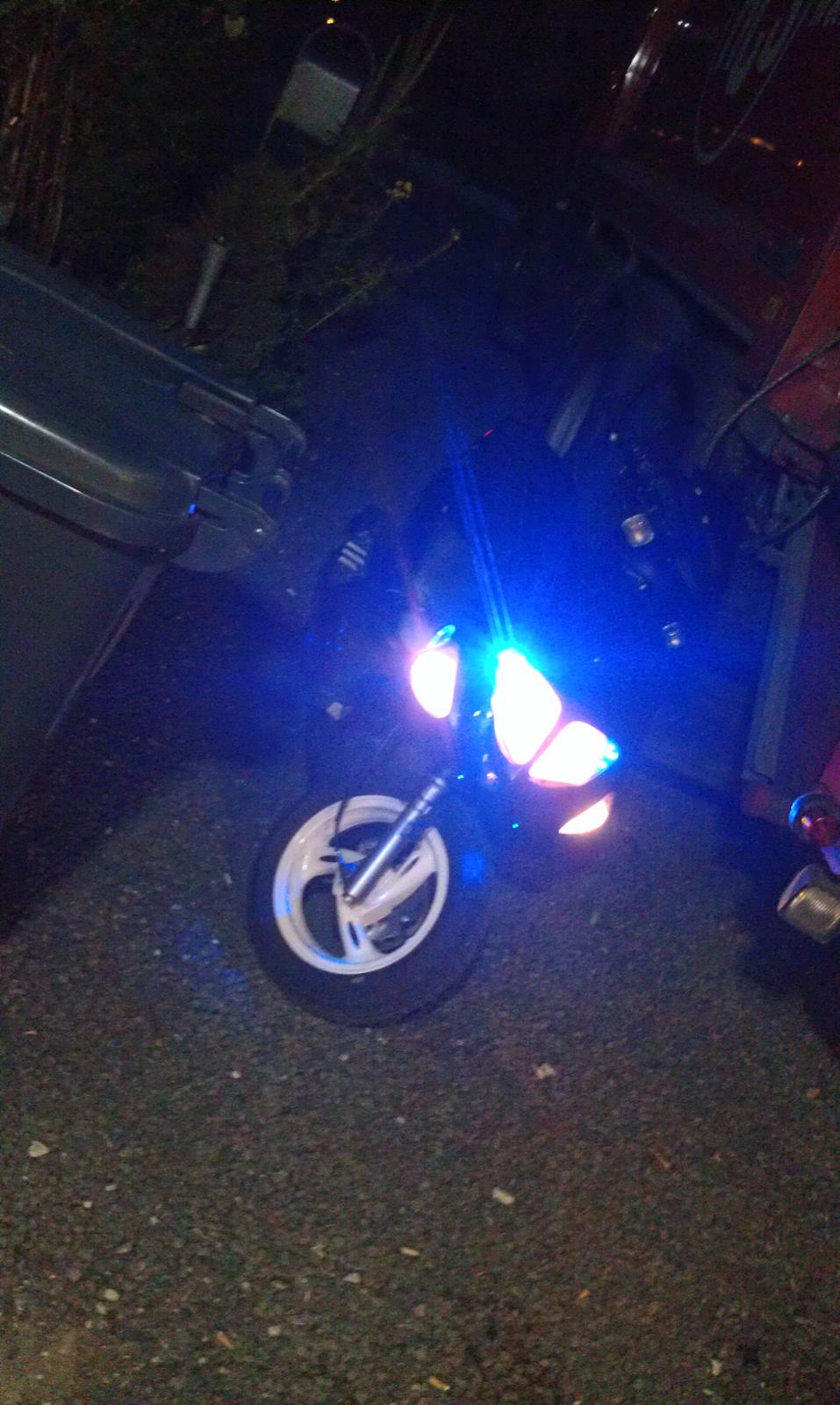 PinGO   - Dr Big. billede 35