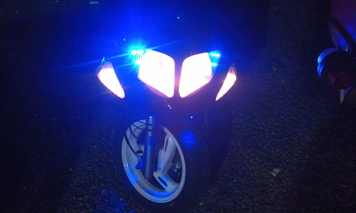 PinGO   - Dr Big. billede 37