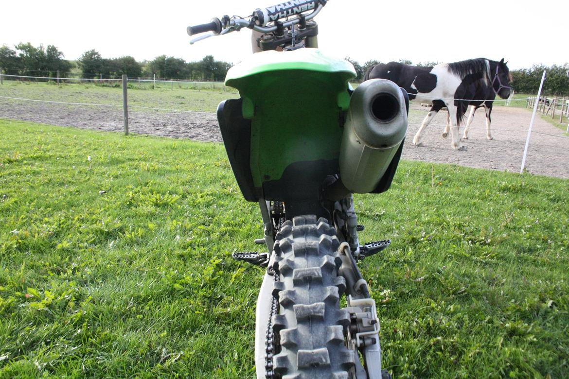 Kawasaki 250cc 4T 2007  billede 10