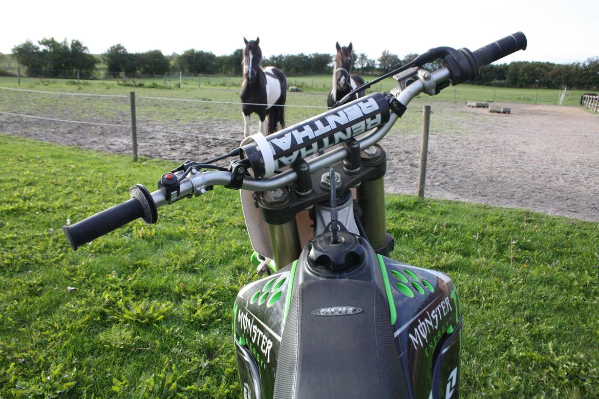 Kawasaki 250cc 4T 2007  billede 7