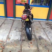 Min dejlige derbi senda 