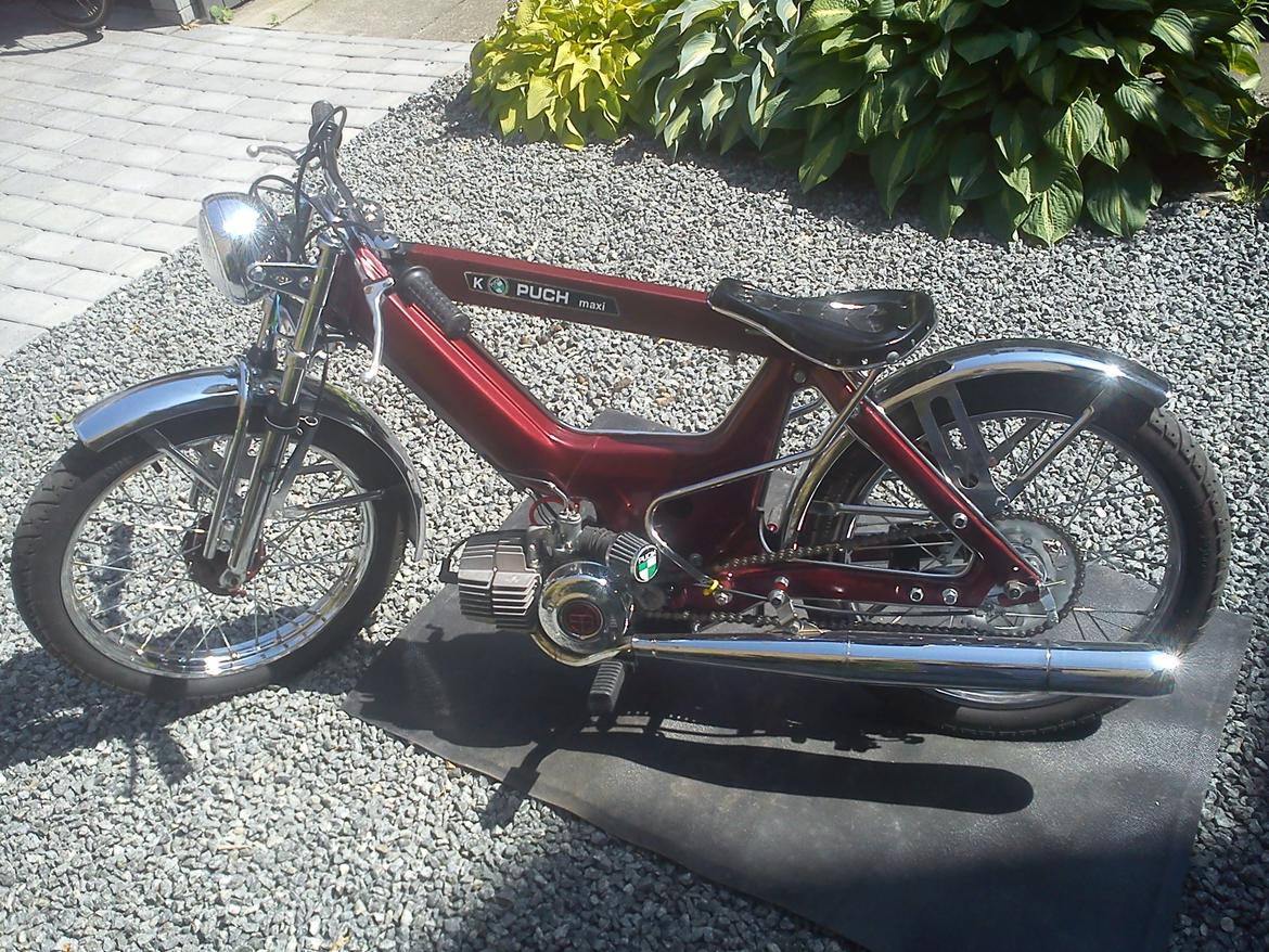 Puch maxi Custom  billede 10