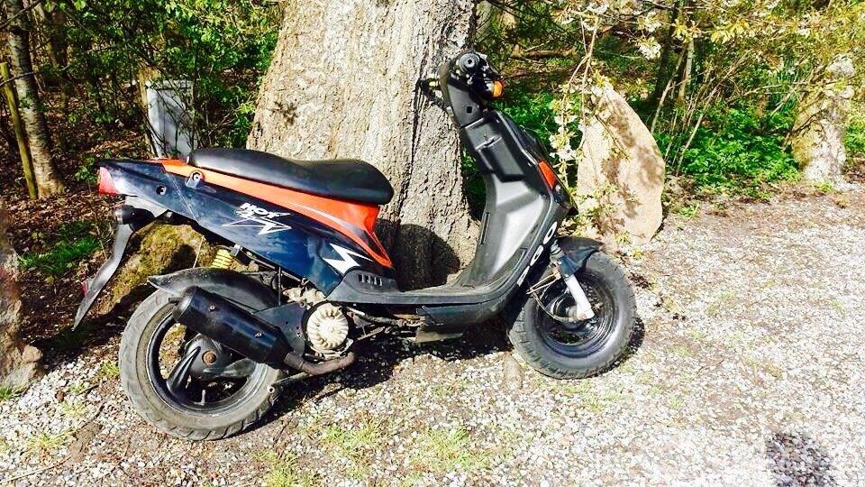 Hotte lotte billede 2