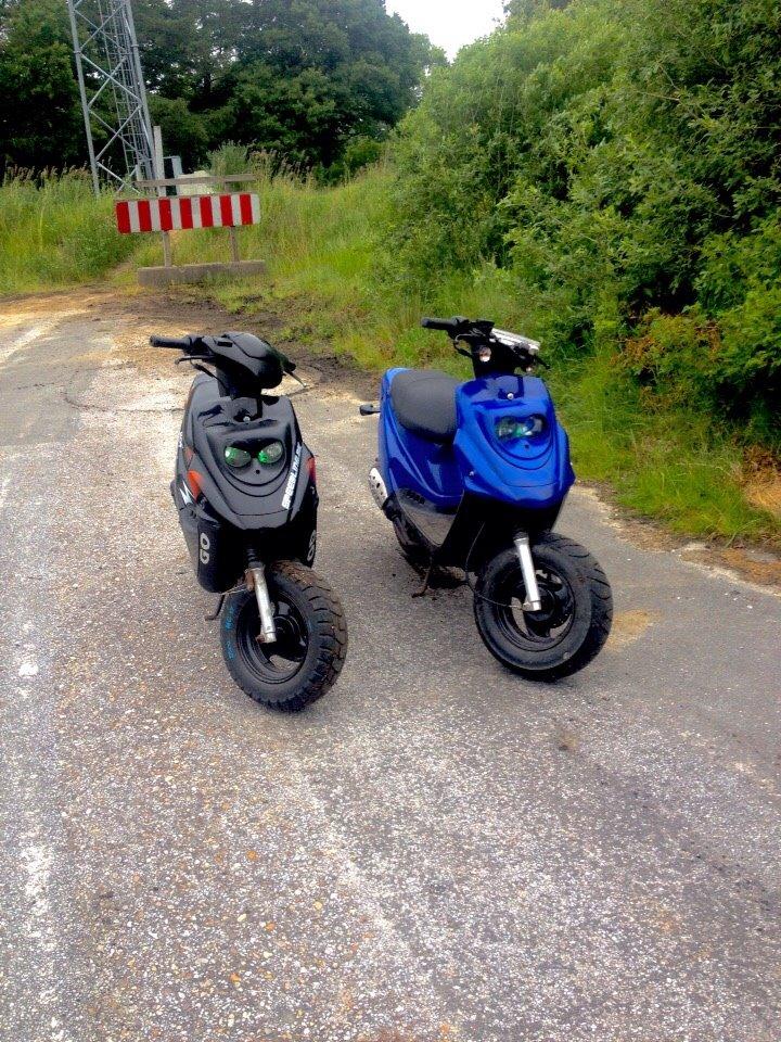 Hotte lotte billede 11