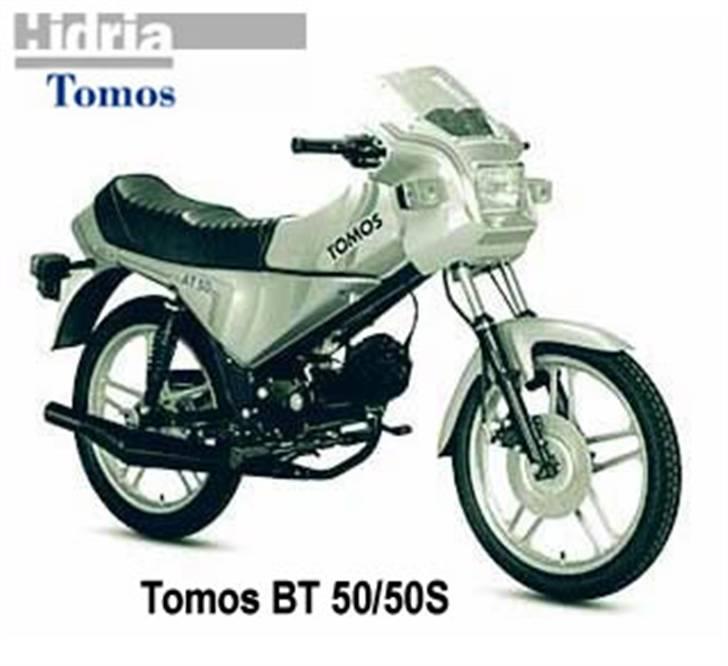 Tomus billede 13