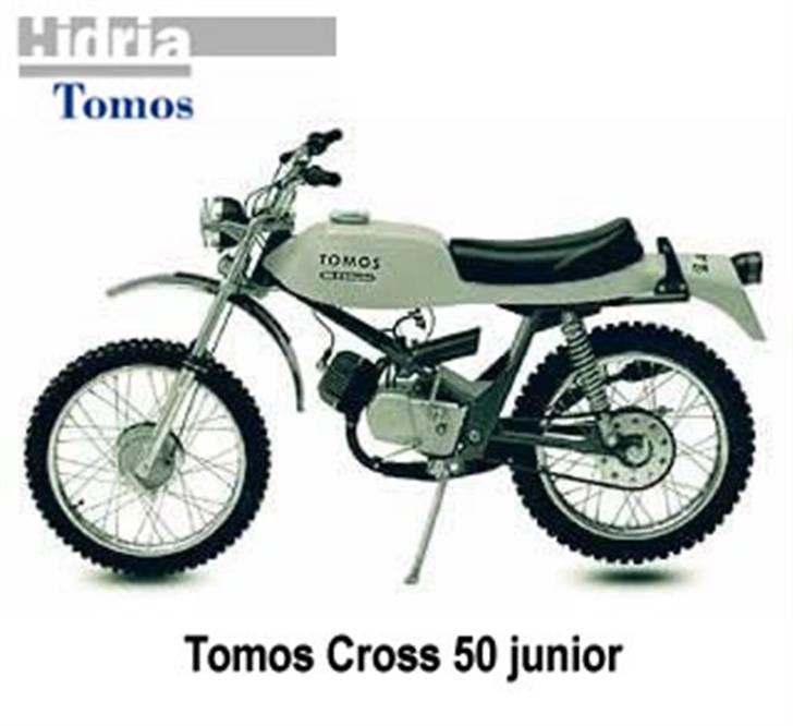 Tomus billede 14