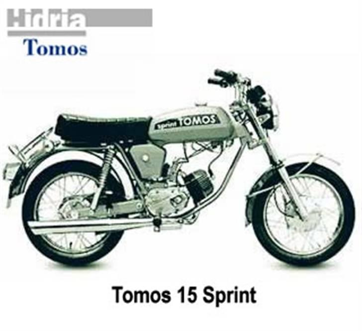 Tomus billede 16