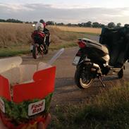 Vores Scooter/Knallerter 