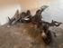 Gilera Runner SP30