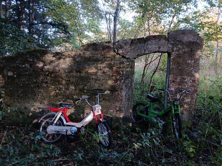 {{currentPhoto.altText}} billede {{currentPhoto.number}}