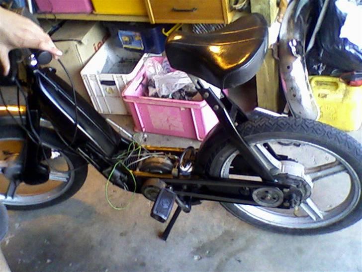 CIAO styling billede 16