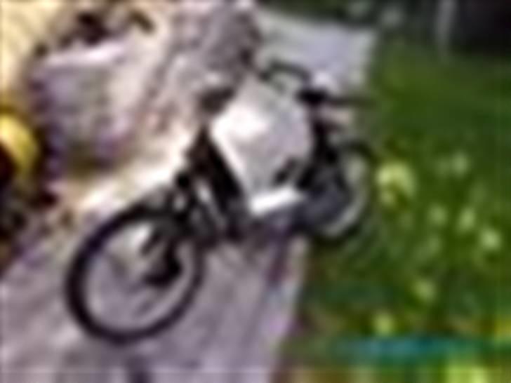 CIAO styling billede 17