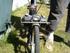 Velo Solex F4