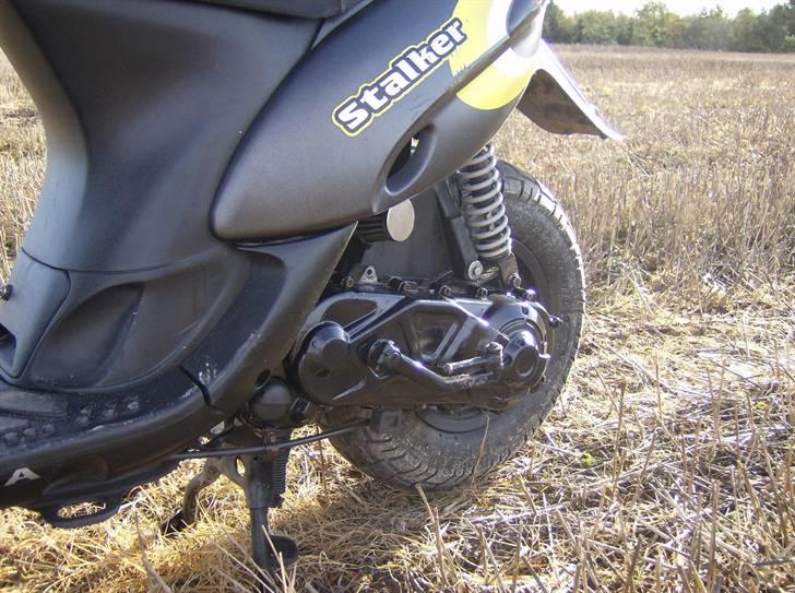 Gilera Stalker -  - Lige da jeg fik den i Oktober 2006
Dengang var der en masse grimme Strafferinge på osv. billede 12