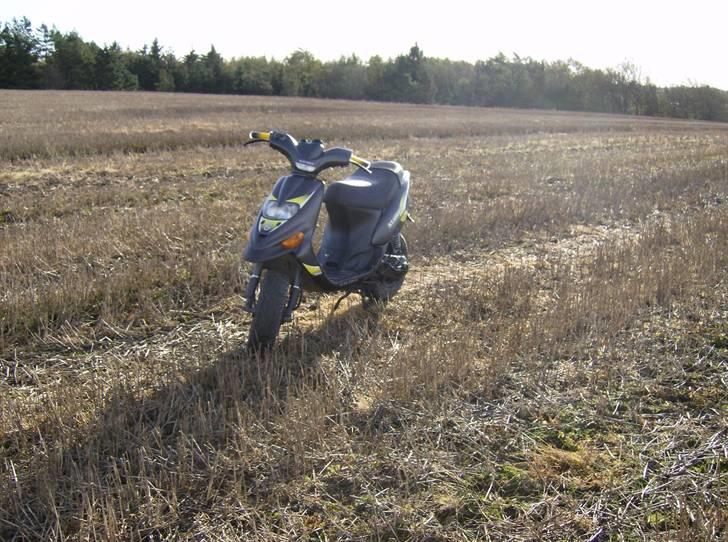 Gilera Stalker -  - Lige da jeg fik den i Oktober 2006
Dengang var der en masse grimme Strafferinge på osv. billede 13
