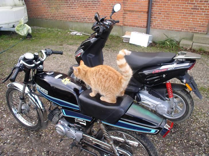 Suzuki Samurai DM50 2G Styling/tuningsprojekt - Misser vil også prøve billede 5