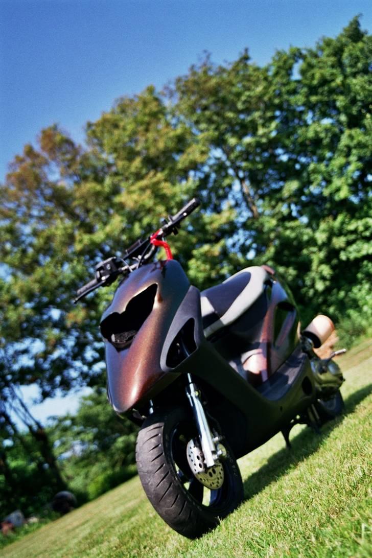 Honda sfx LC evo billede 27