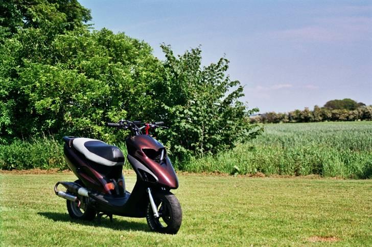 Honda sfx LC evo billede 30