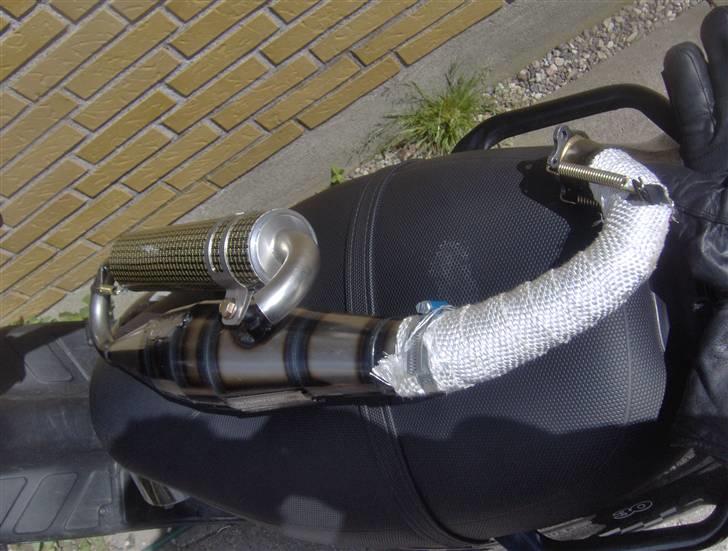 Yasuni C20 billede 12