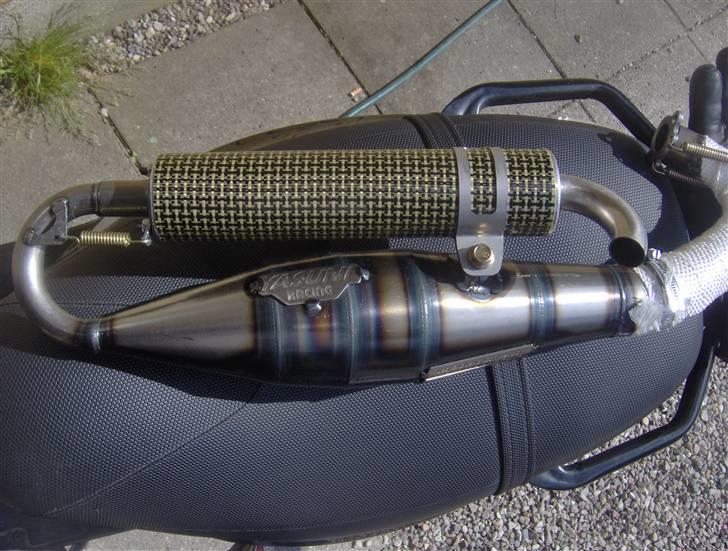 Yasuni C20 billede 13