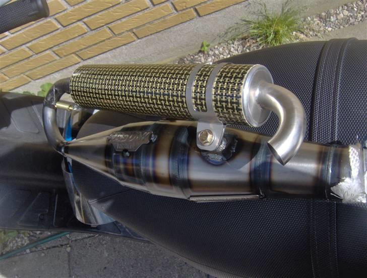 Yasuni C20 billede 16