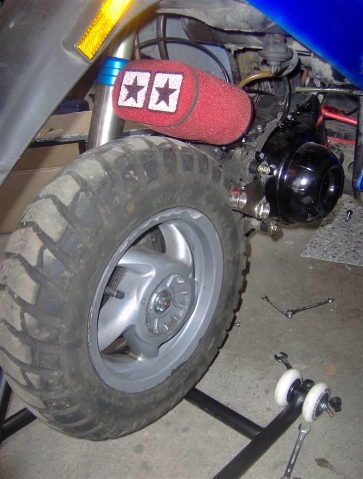 Yasuni C20 billede 19