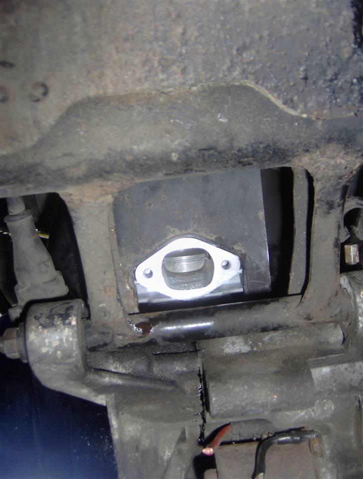 Yasuni C20 billede 22