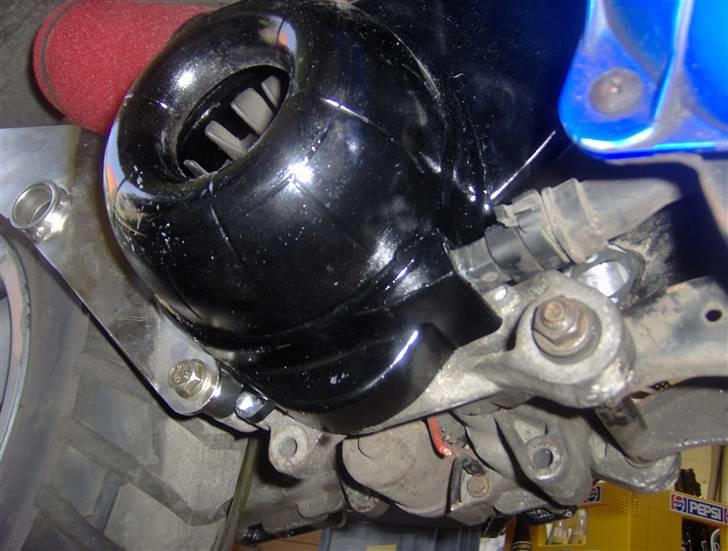 Yasuni C20 billede 23