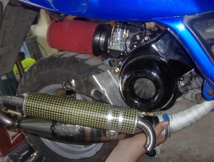 Yasuni C20 billede 26